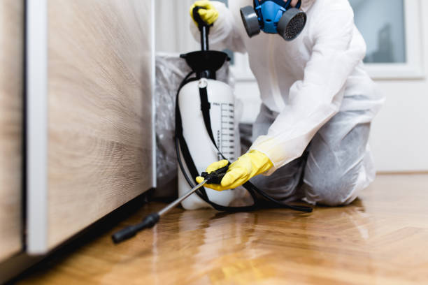 Best Ant Control Services  in Woodcrest, CA