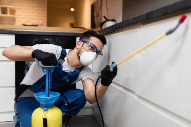 Flea Control Services in Woodcrest, CA