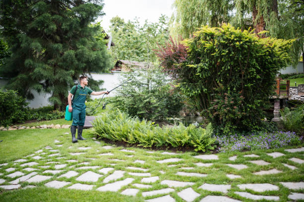 Best Local Pest Control Services  in Woodcrest, CA