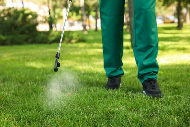 Best Pest Removal Services  in Woodcrest, CA