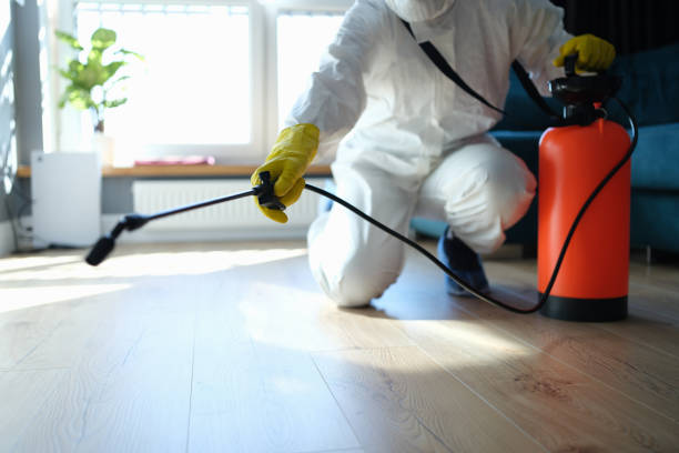Best Exterminator Services  in Woodcrest, CA