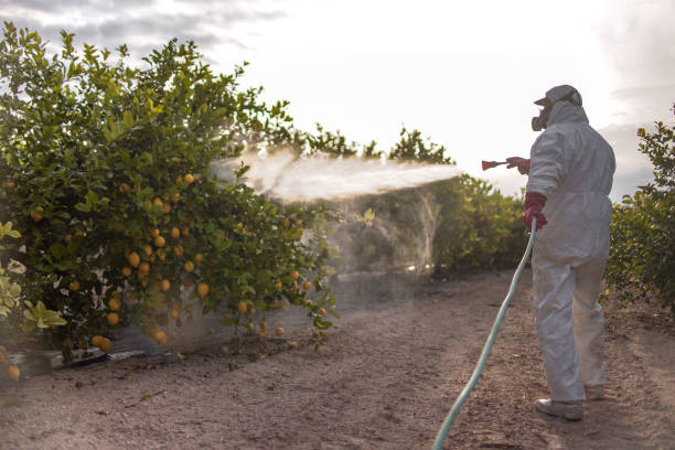 Best Best Pest Control Companies  in Woodcrest, CA