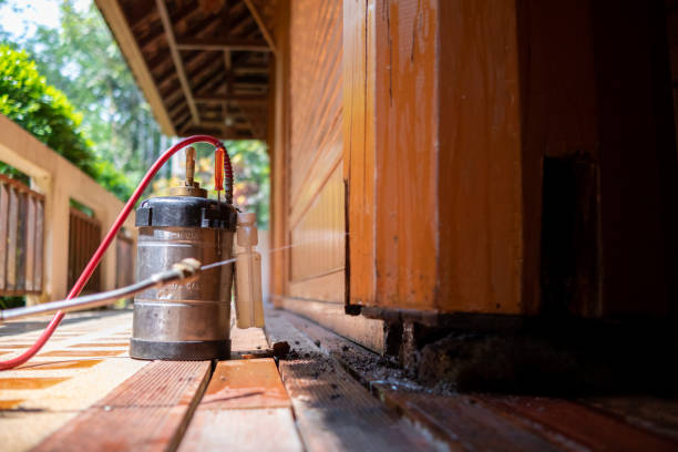 Best Cockroach Control Services  in Woodcrest, CA
