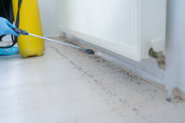 Woodcrest, CA Pest Control Company