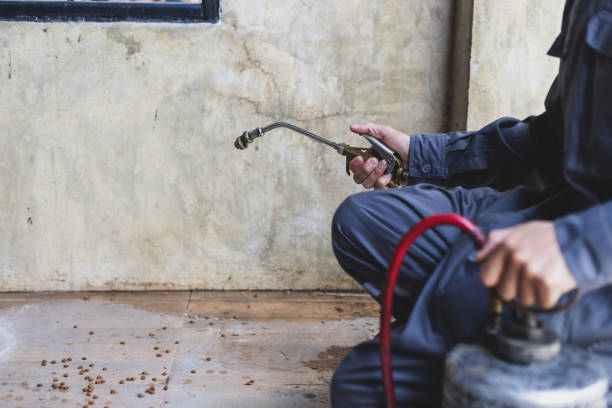 Best Emergency Pest Control  in Woodcrest, CA